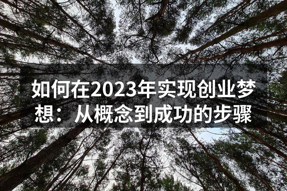 如何在2023年实现创业梦想：从概念到成功的步骤